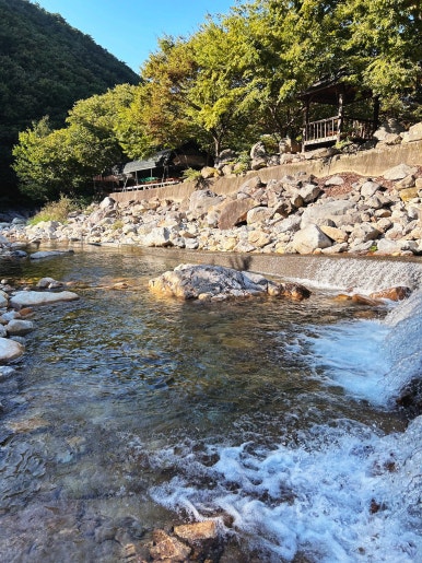 별찌야영장 이미지