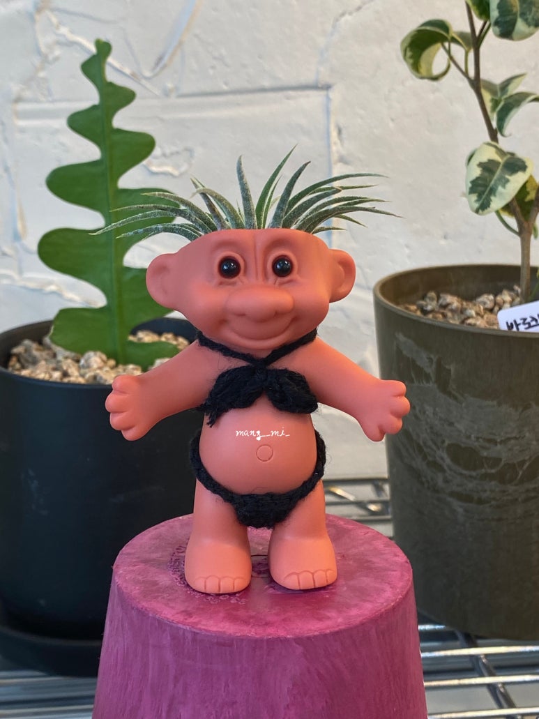 몬테가든 이미지