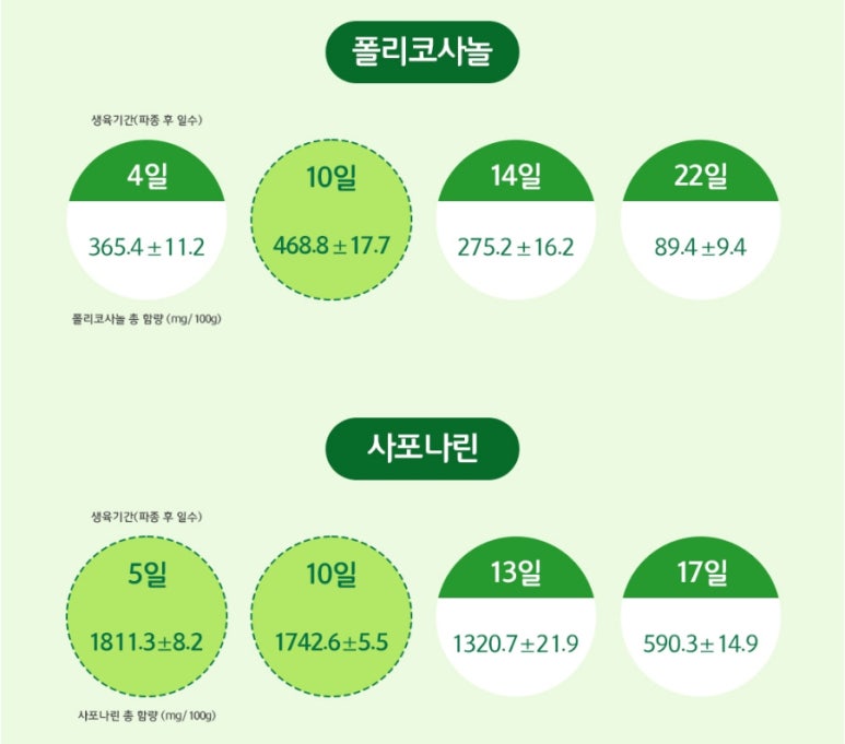 참선진녹즙 이미지