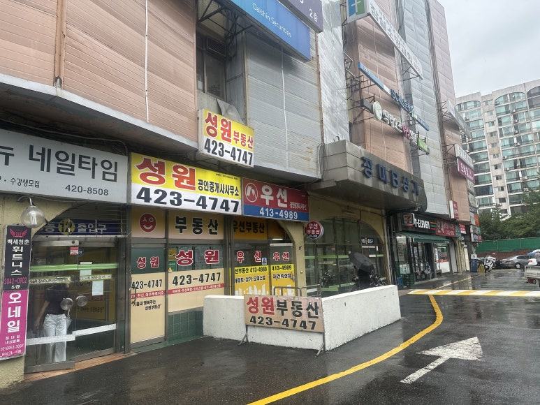 장미수선 이미지