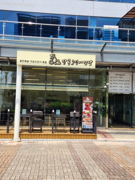 팔공오징어 이미지