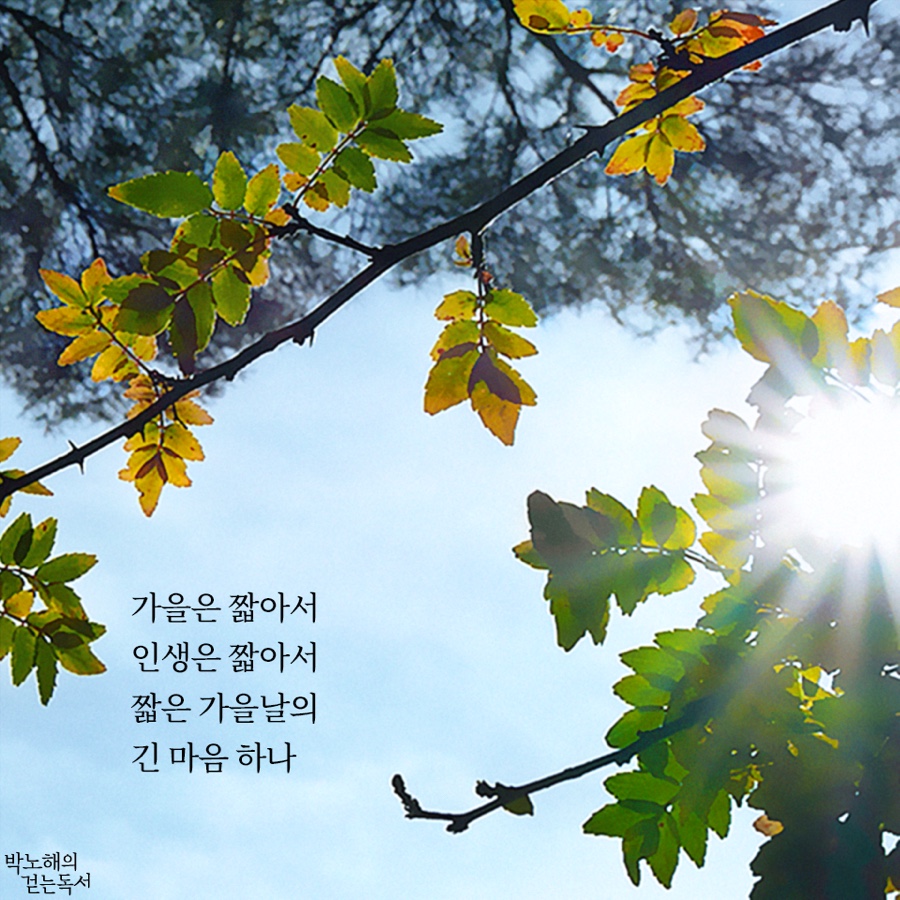 가을하늘민 이미지