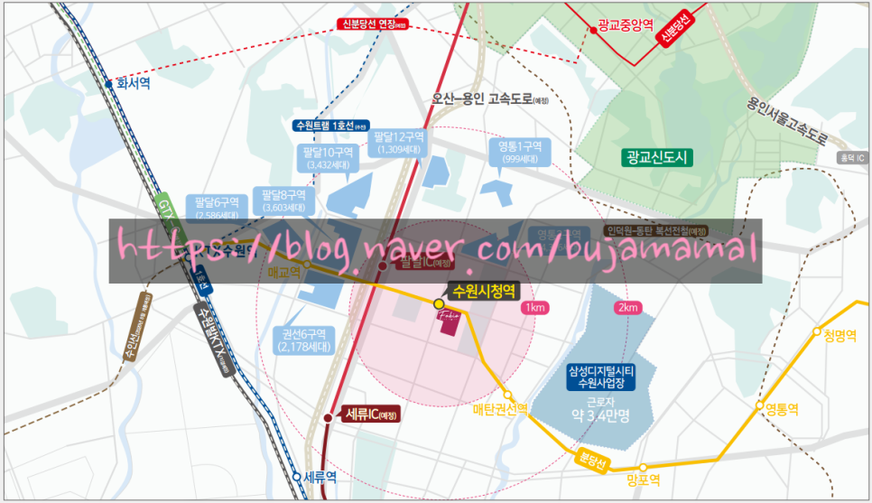 수원파비오더리미티드185 이미지