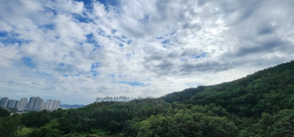 제니헤어커트클럽 이미지