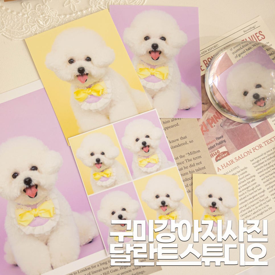 달란트스튜디오 이미지