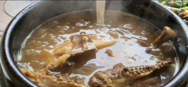 진품참옻닭 이미지