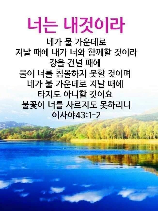 우리;꽃 이미지