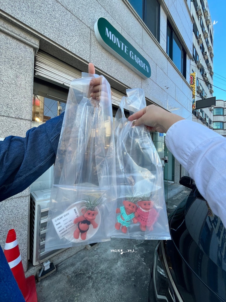 몬테가든 이미지
