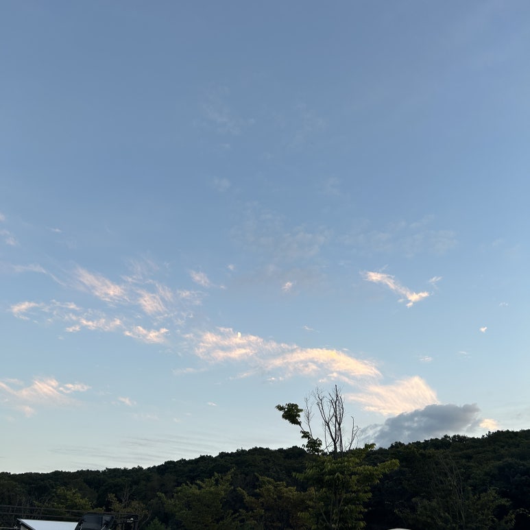 마실캠핑장 이미지