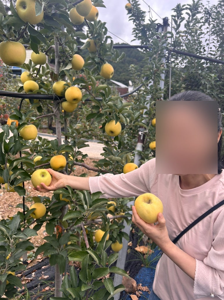 수진농원 이미지