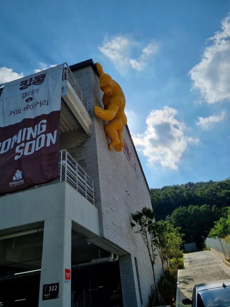 킹콩G.C갤러리 이미지