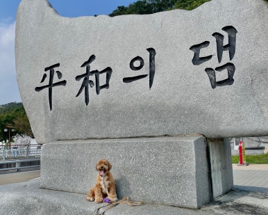 화천장어랜드 이미지
