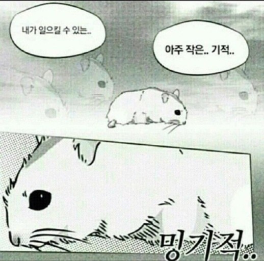 밍기적 이미지