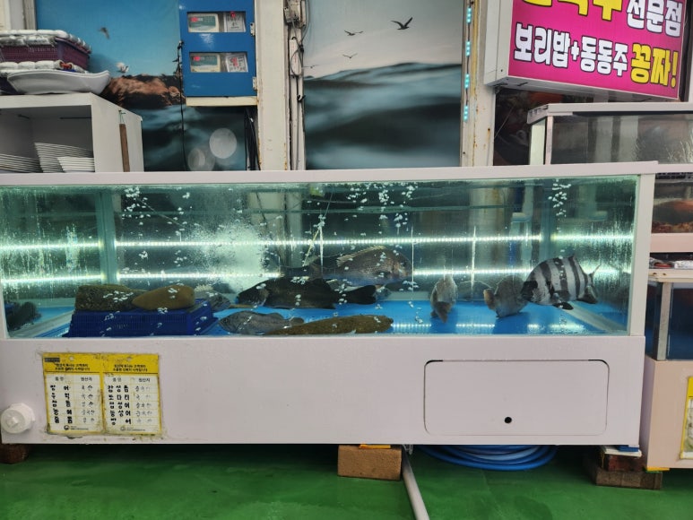 통큰동호네 이미지