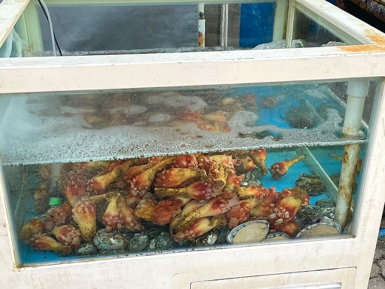 초심회포차 이미지