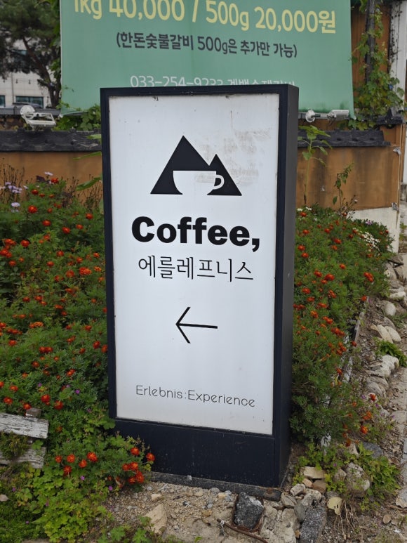 에를레프니스 이미지