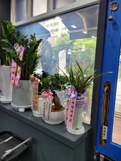 미스터커트 이미지