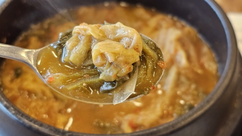 오리나무 사진 7
