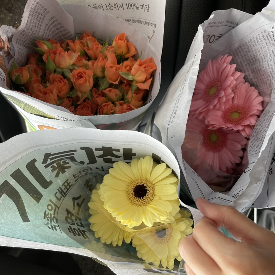 대일농원 이미지