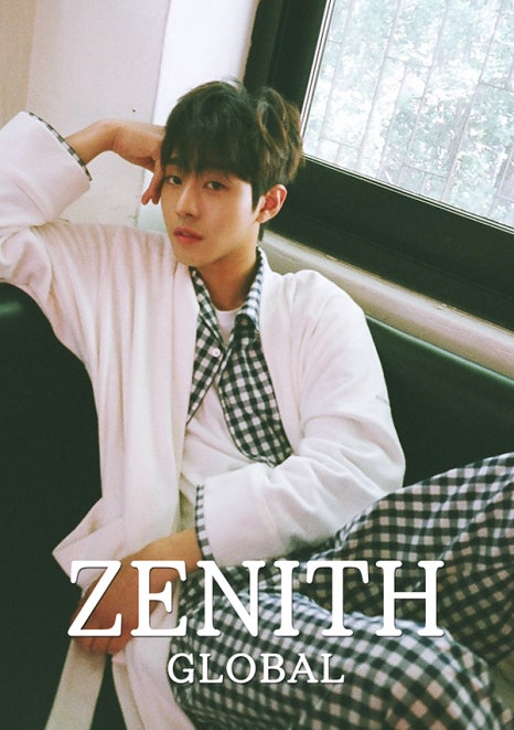 제니스(ZENITH) 이미지