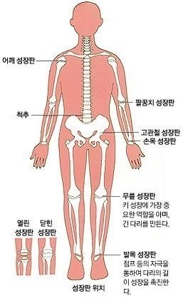 청담탑정형외과의원 이미지