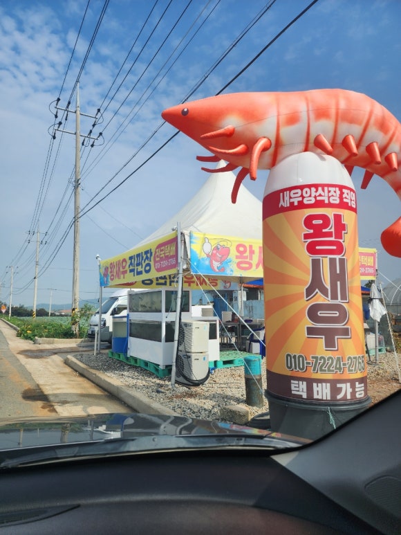 신안왕새우직판 이미지