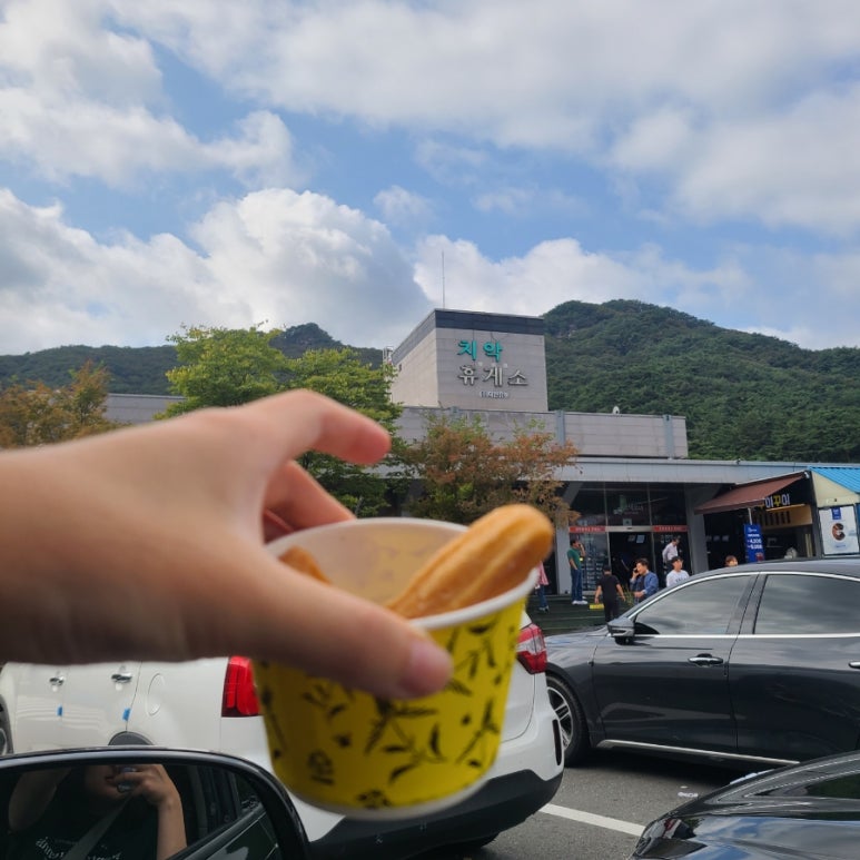 별마로버섯 이미지