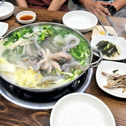 해남뻘낙지 이미지
