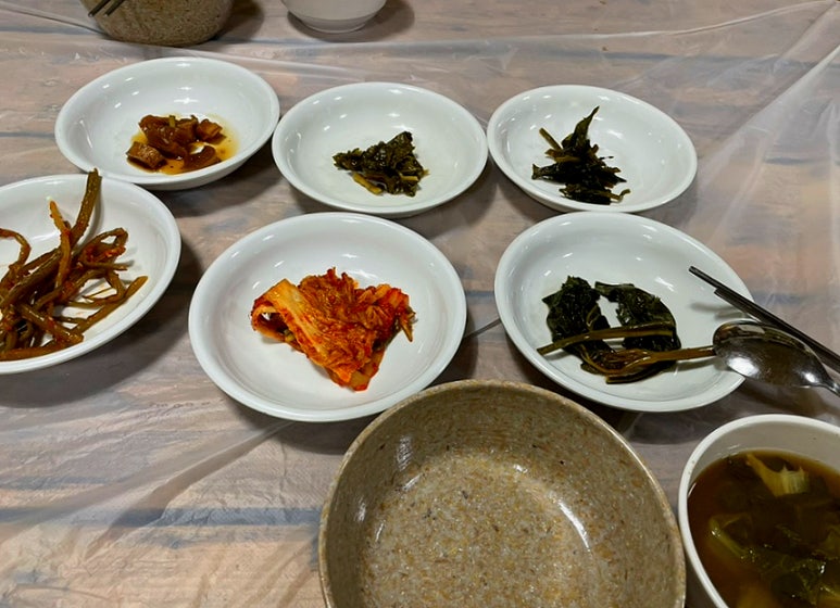 화천에코스쿨 생태체험장 이미지