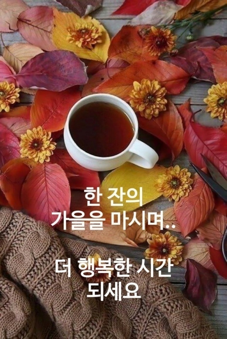 윤서네 칼국수 이미지