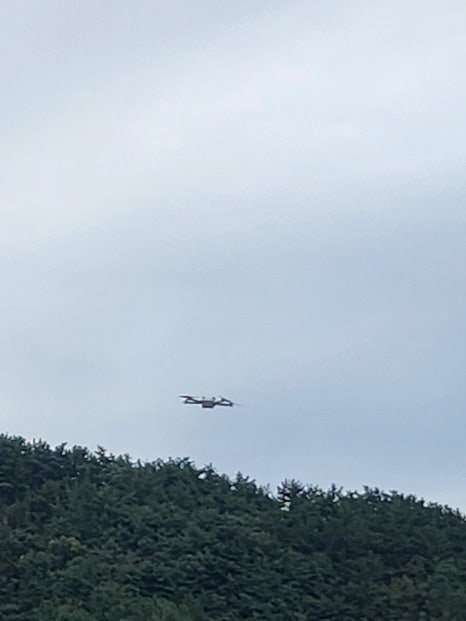 오도르 이미지