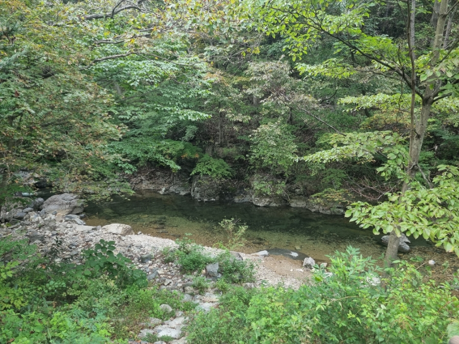 국립운장산자연휴양림 야영장 이미지