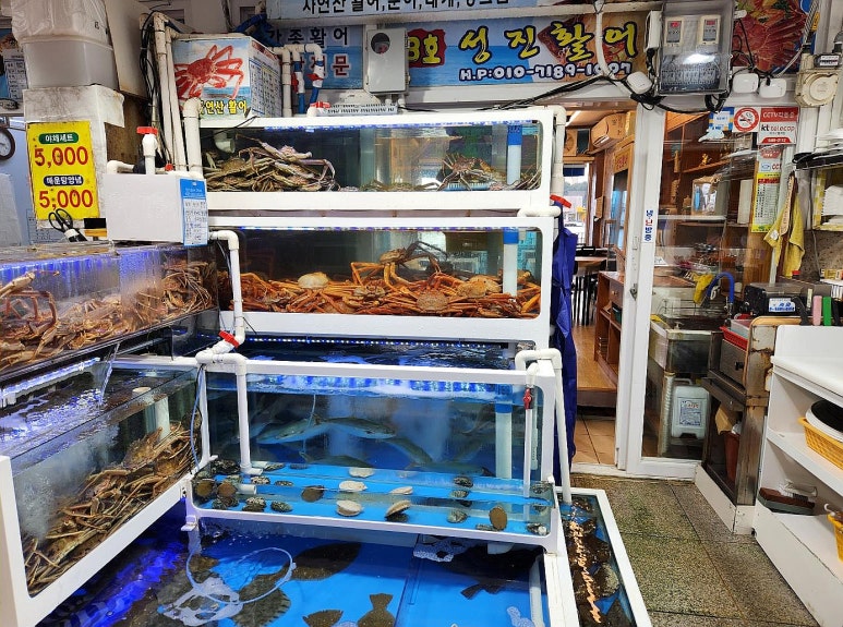 대포항횟집 이미지