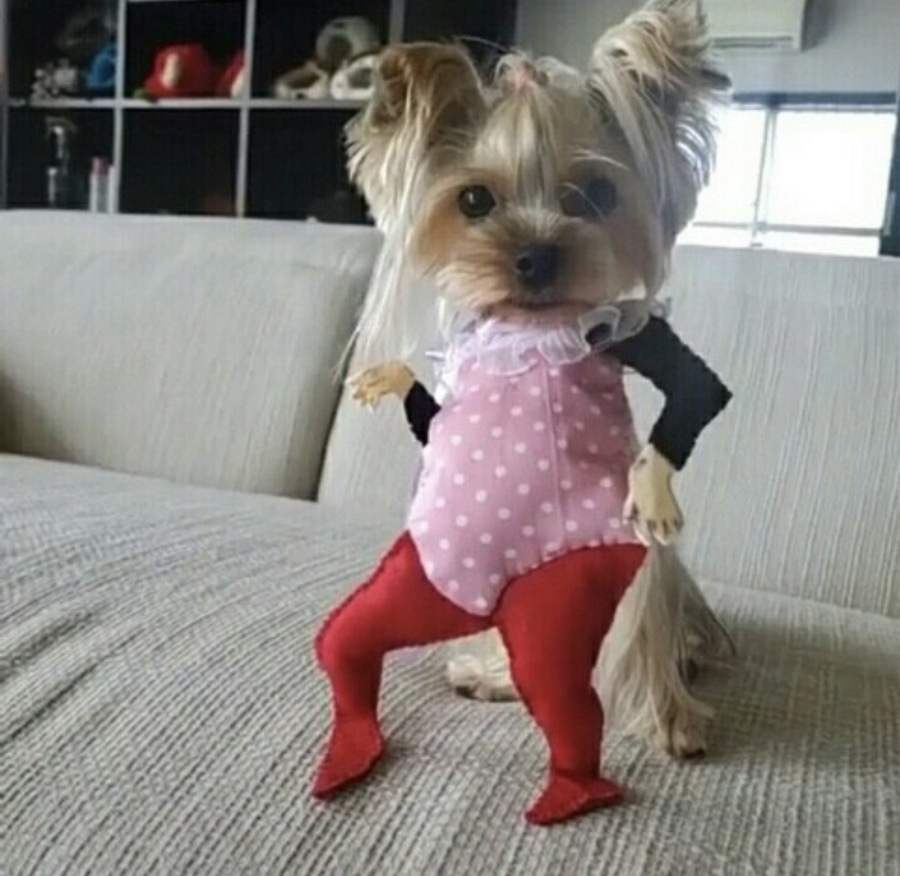 하이루 이미지