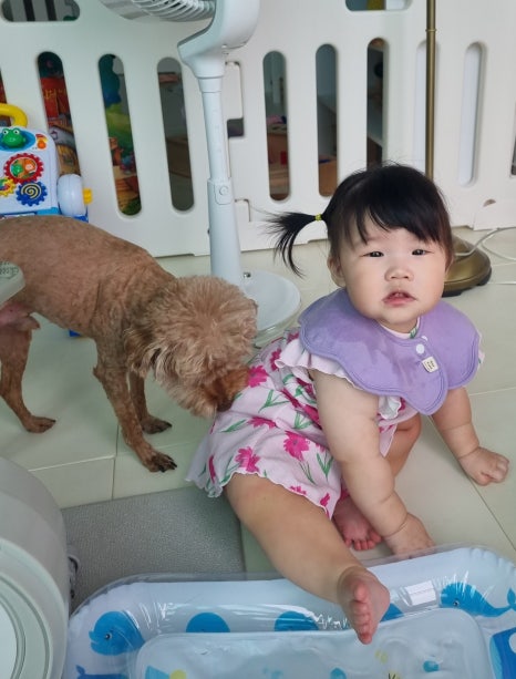 (주)동강시스타 이미지