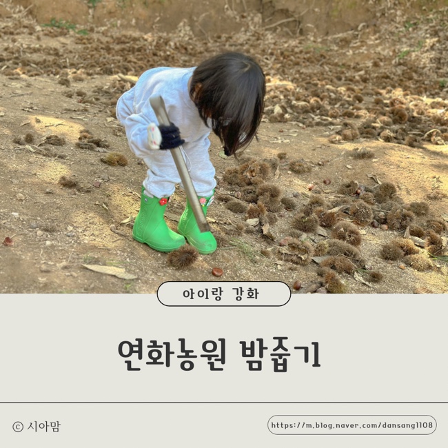 연화농원 이미지