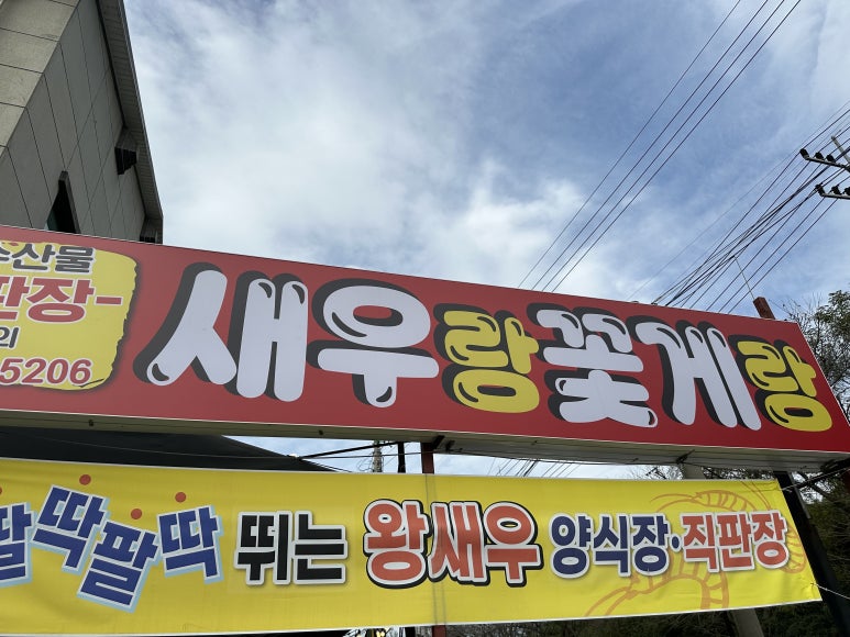 힘찬새우 사진 6