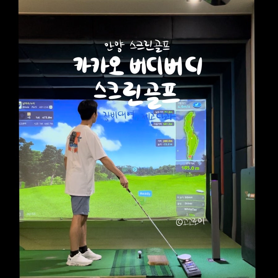 버디버디 스크린골프 이미지