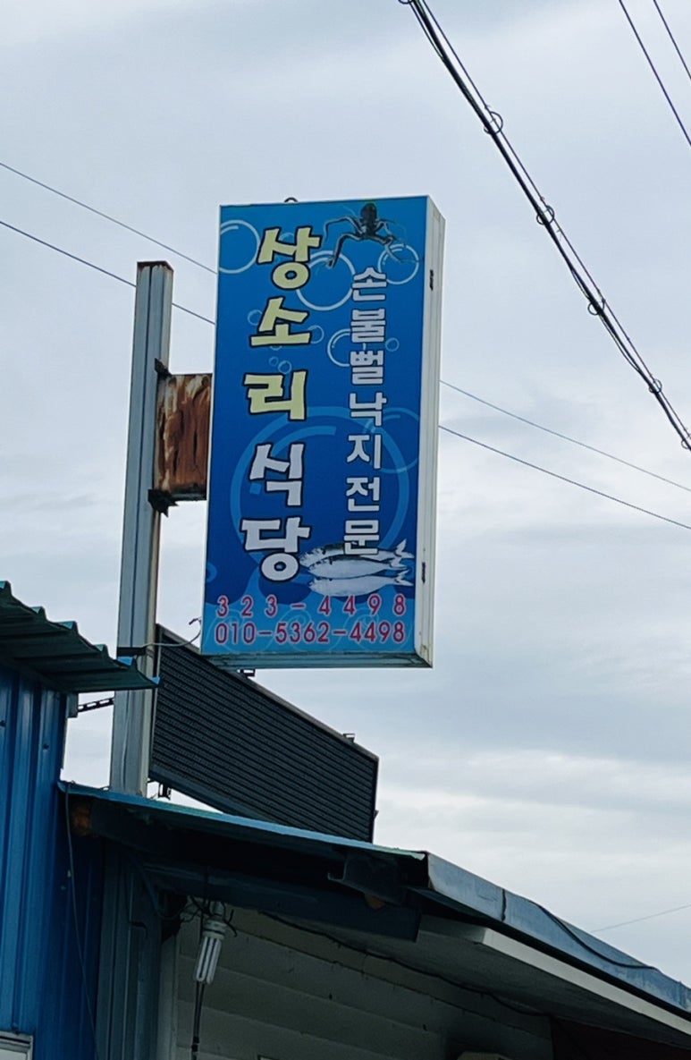손불맛집 이미지