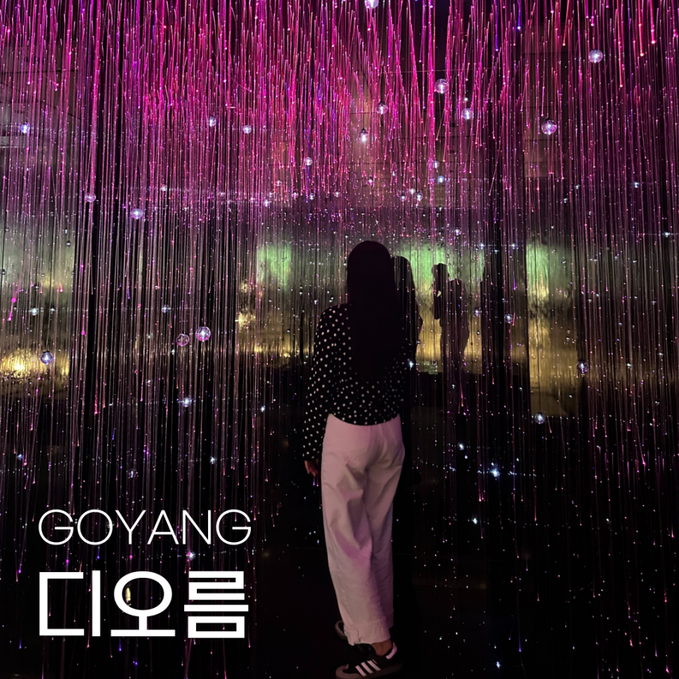 오름미디어 이미지
