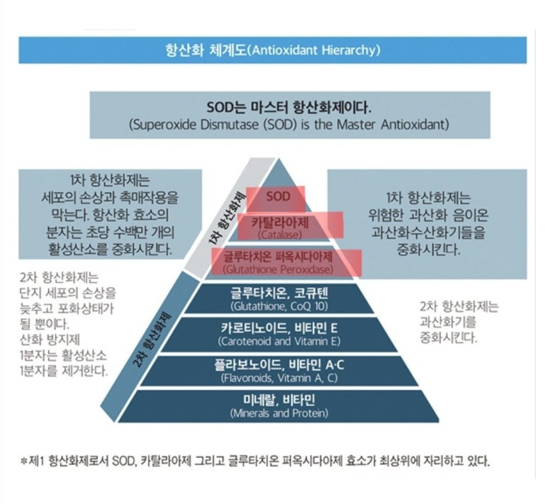 미래바이오 이미지