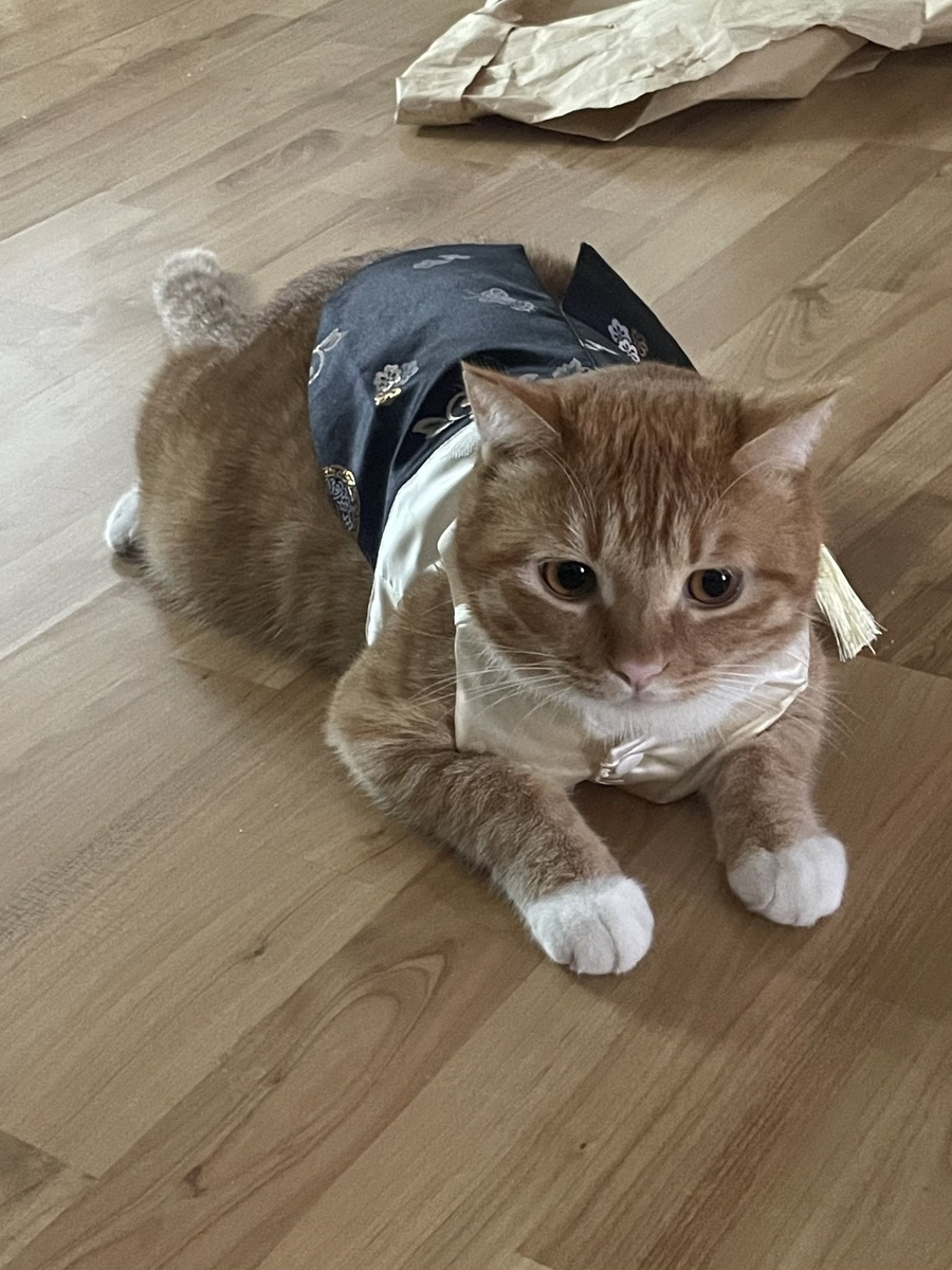 디바야누스 이미지