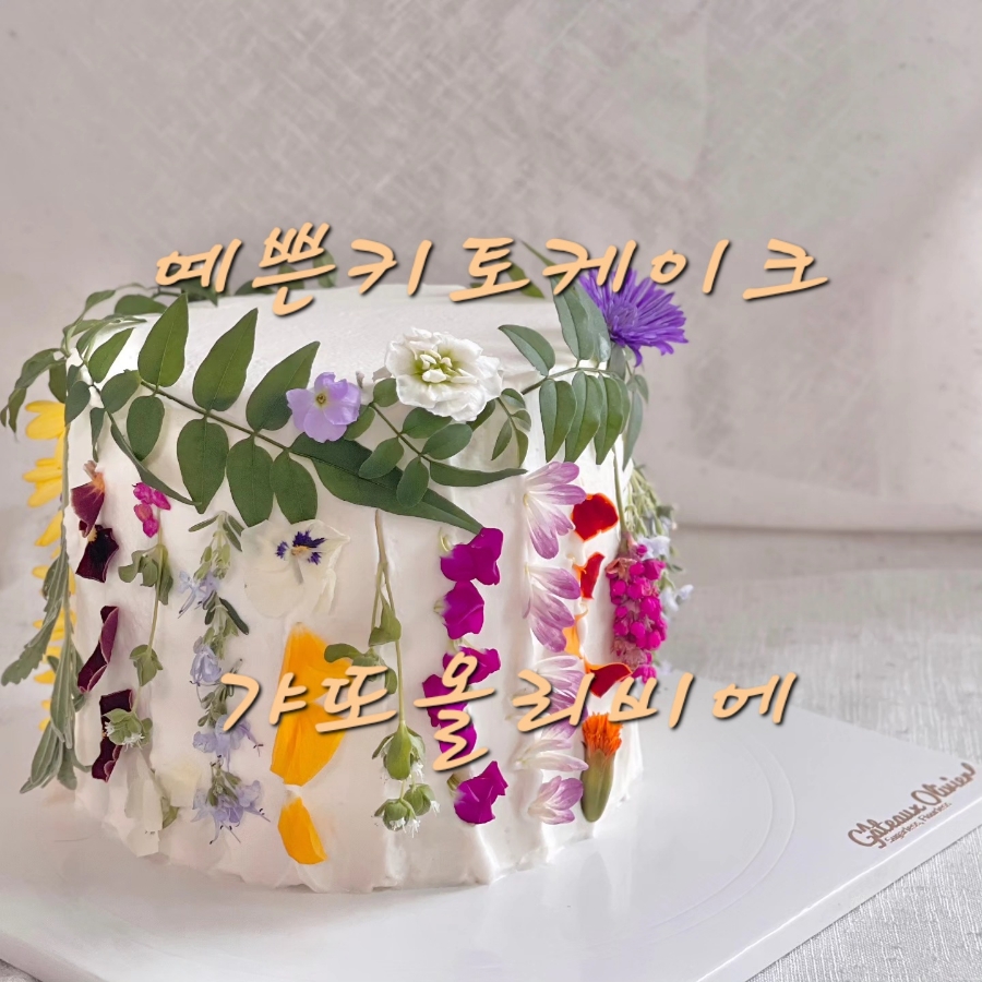 갸또올리비에 이미지