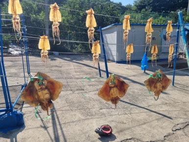 일심건어물 이미지