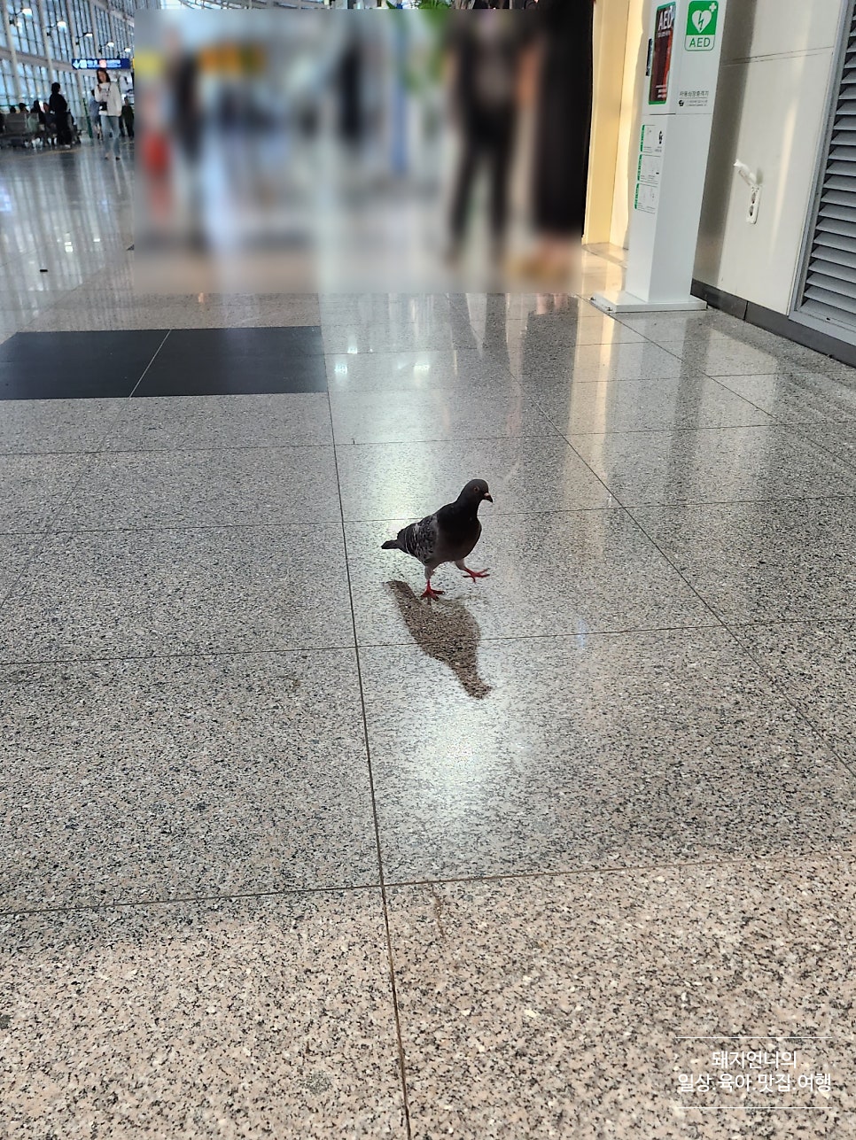 삼송빵집광명역사 이미지