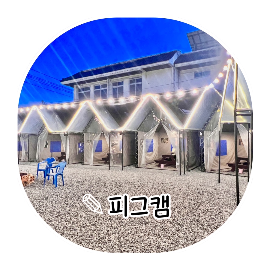 피그캠 이미지