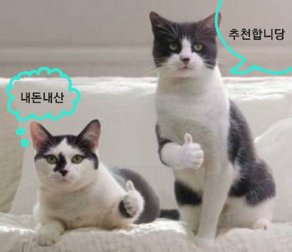 타이내캔 이미지