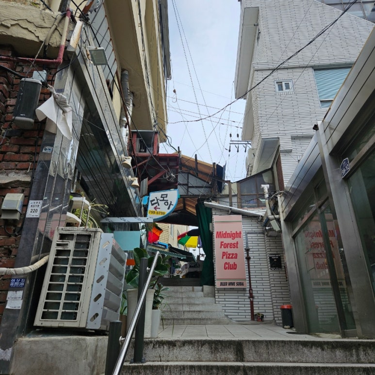 신흥청과 이미지