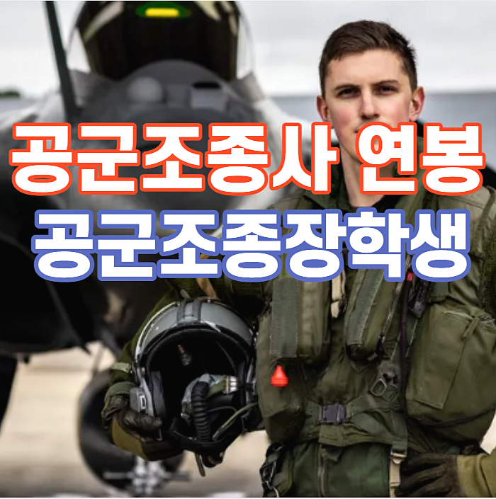 공군 조종사(전투기 조정사) 되는법및 연봉, (ft. 공군조종장학생) : 네이버 블로그