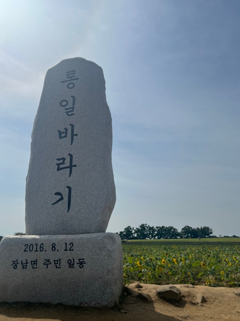 청춘이면호로고루점 이미지